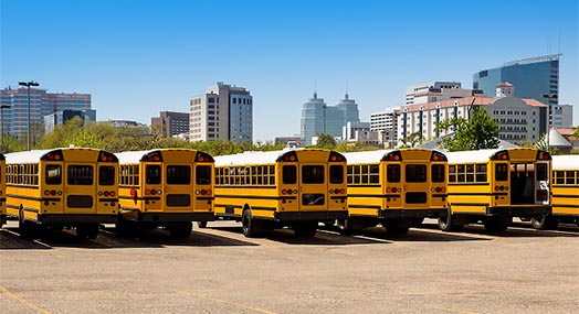 American typical school bus rear view in a row at Houston Texas